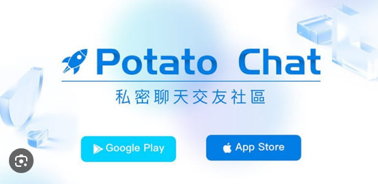 如何在Potato Chat中进行搜索？详细教程与操作步骤_土豆聊天软件