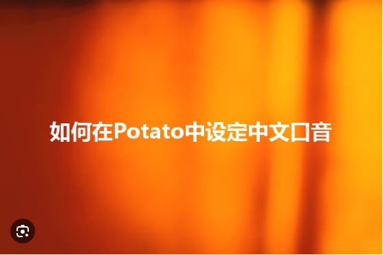 Potato Chat如何进行语音识别？_土豆聊天软件