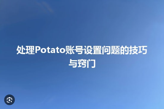 如何在Potato Chat中创建并管理多个账户？_土豆聊天软件